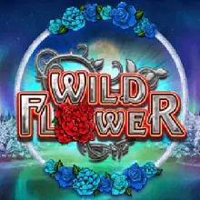 Wild Flower на Vbet